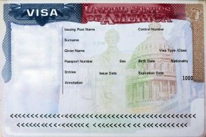 Visa Application Guidance Services